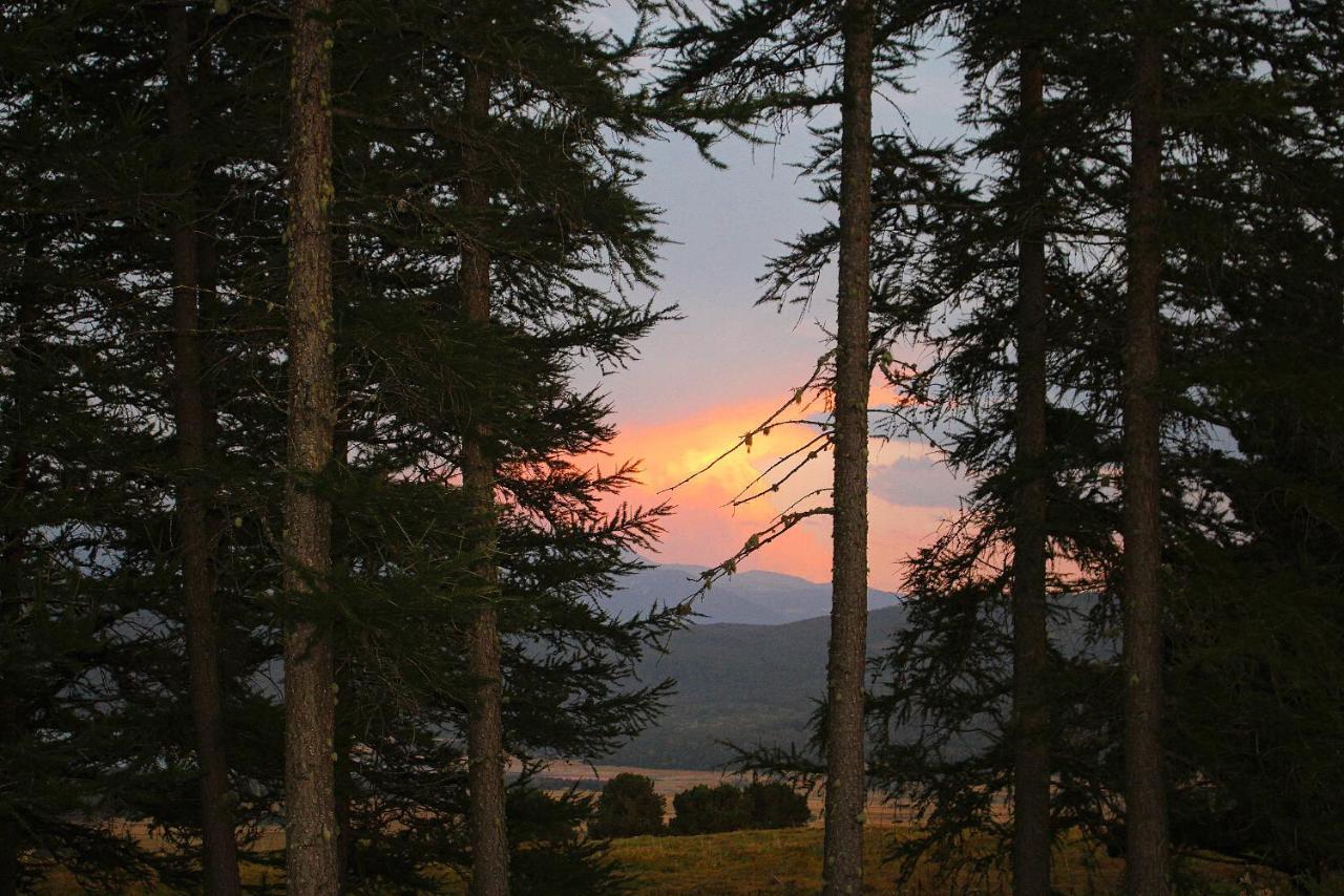 Gite Ranch Le Serpolet Les Angles  Dış mekan fotoğraf
