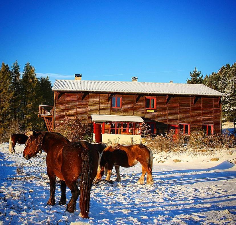 Gite Ranch Le Serpolet Les Angles  Dış mekan fotoğraf