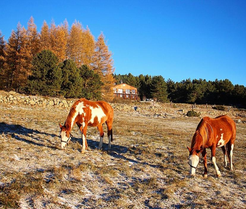 Gite Ranch Le Serpolet Les Angles  Dış mekan fotoğraf