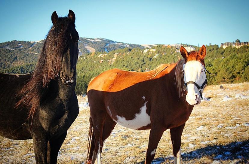 Gite Ranch Le Serpolet Les Angles  Dış mekan fotoğraf
