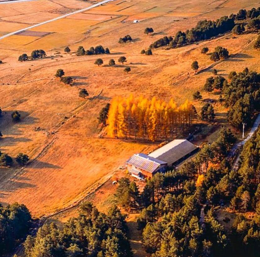 Gite Ranch Le Serpolet Les Angles  Dış mekan fotoğraf