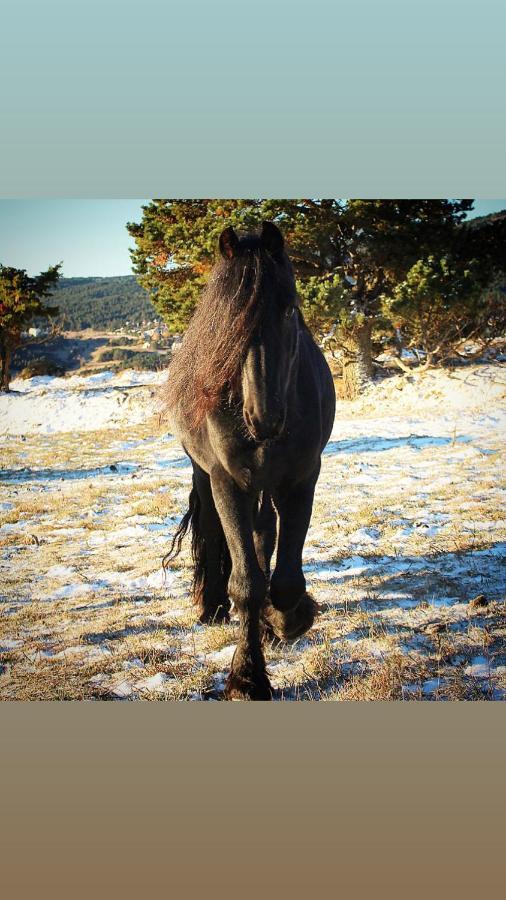 Gite Ranch Le Serpolet Les Angles  Dış mekan fotoğraf