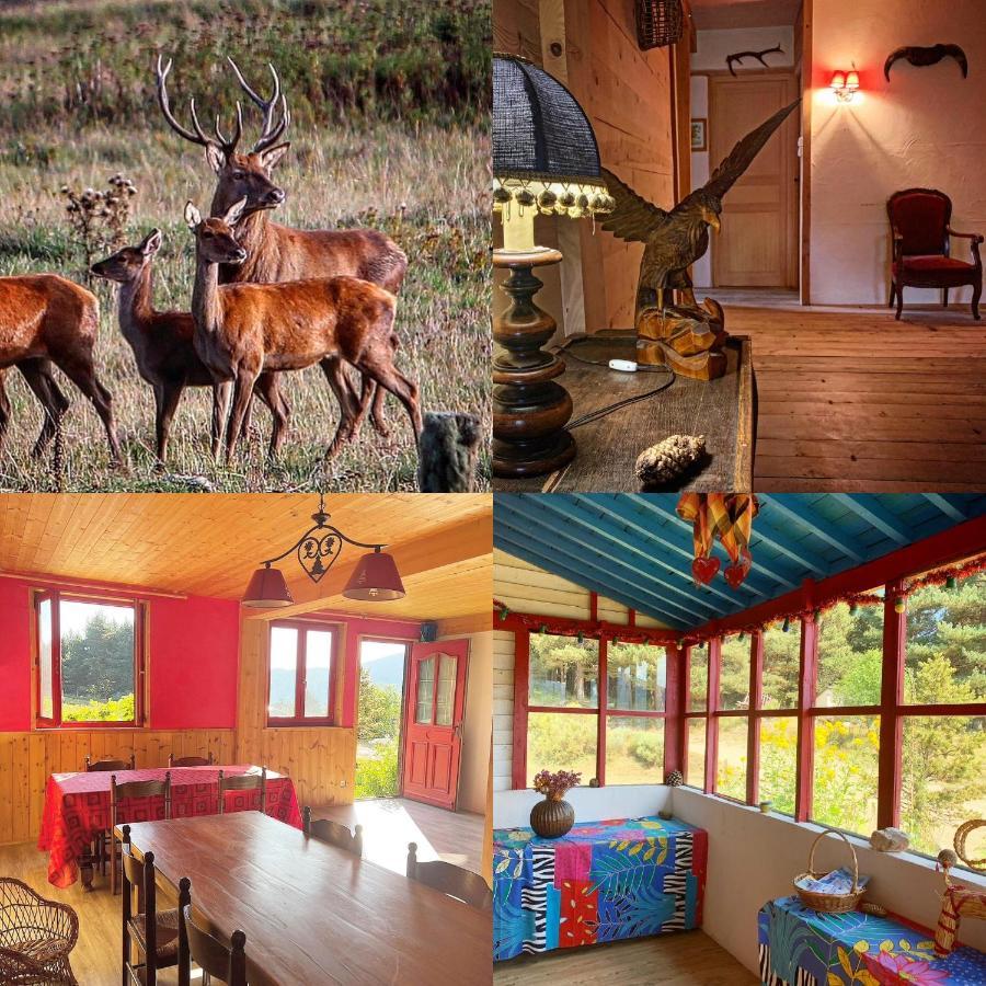 Gite Ranch Le Serpolet Les Angles  Dış mekan fotoğraf