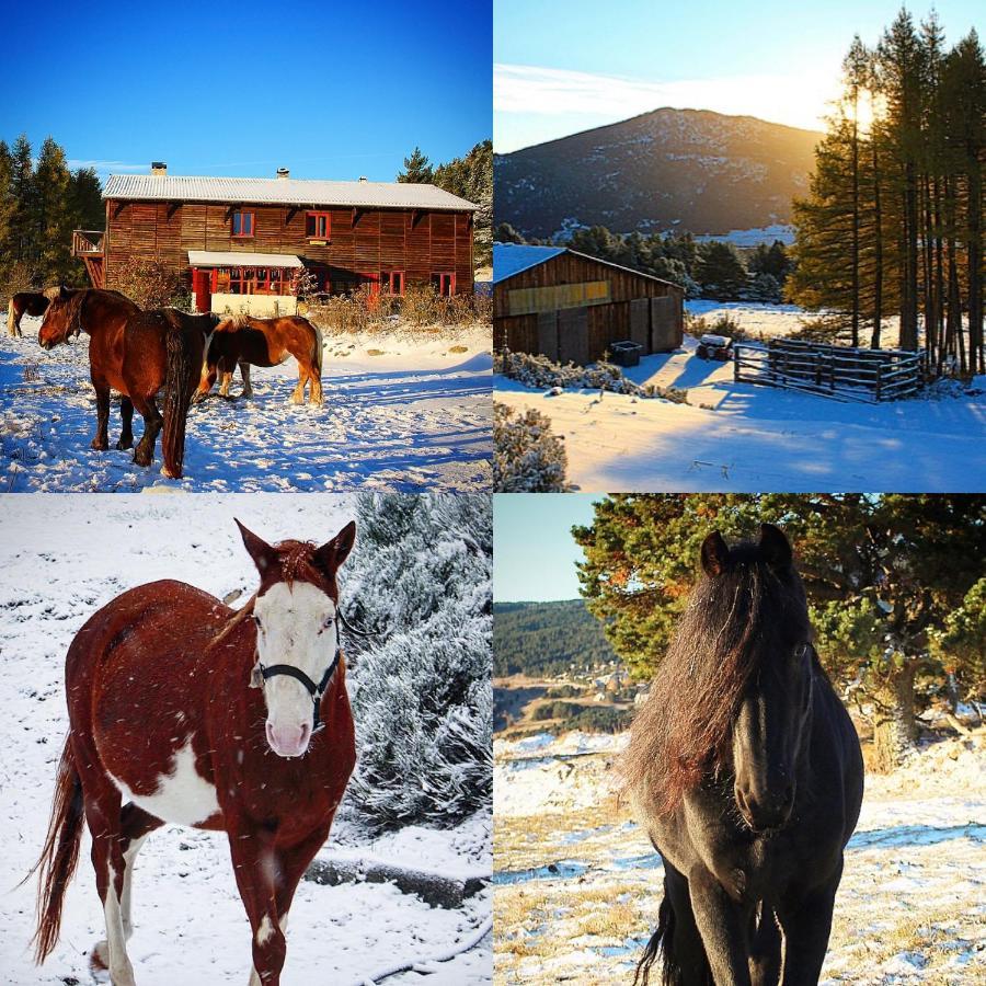 Gite Ranch Le Serpolet Les Angles  Dış mekan fotoğraf