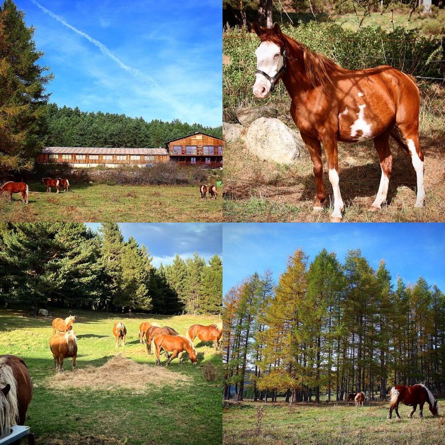Gite Ranch Le Serpolet Les Angles  Dış mekan fotoğraf