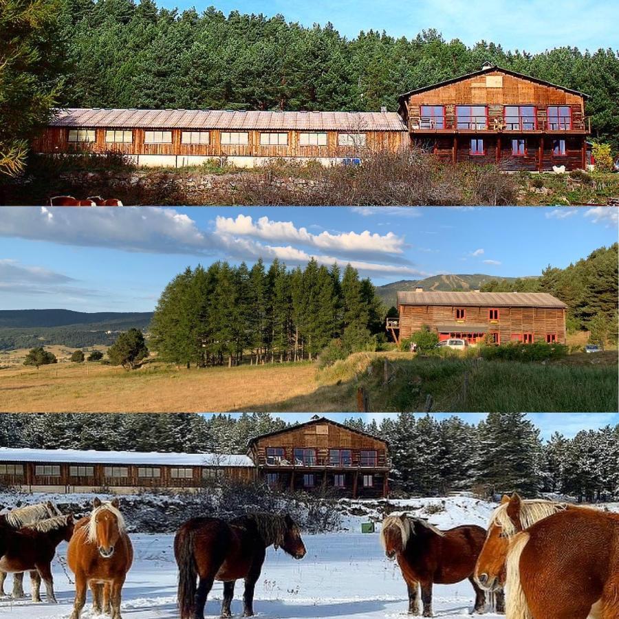 Gite Ranch Le Serpolet Les Angles  Dış mekan fotoğraf