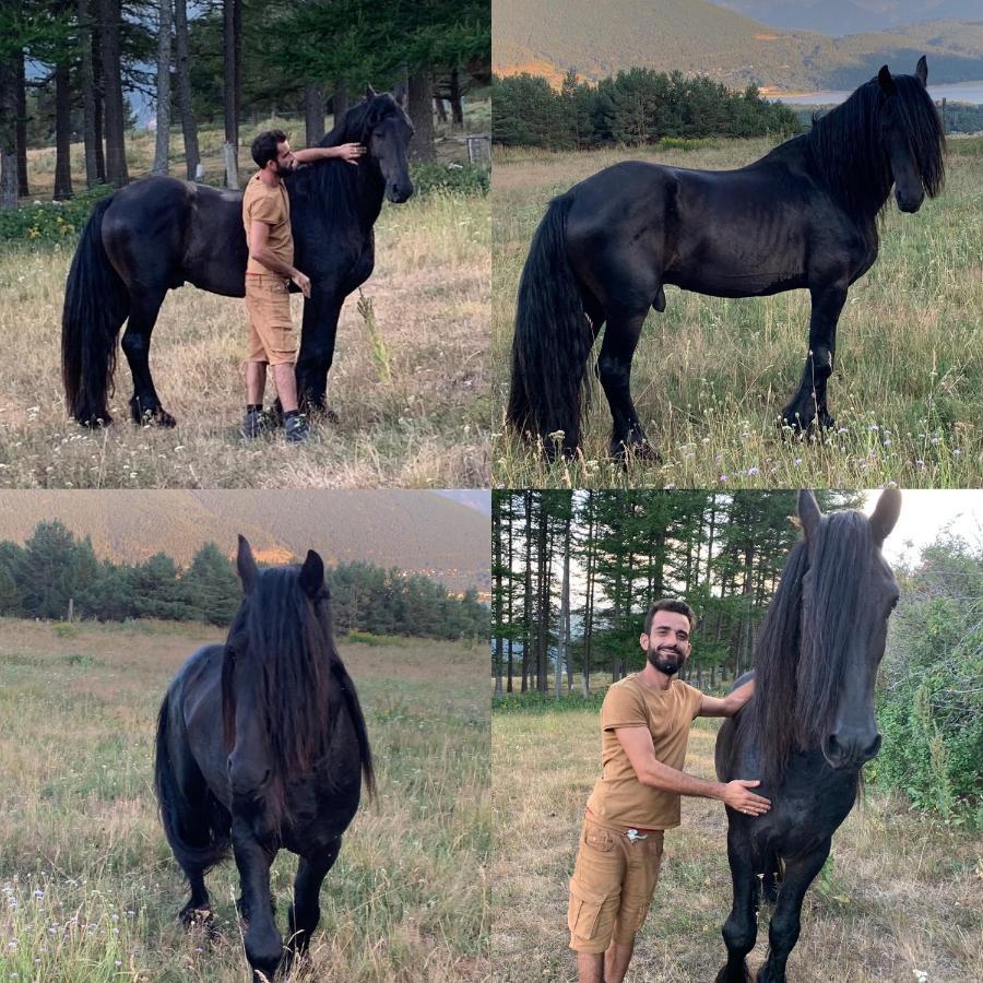 Gite Ranch Le Serpolet Les Angles  Dış mekan fotoğraf
