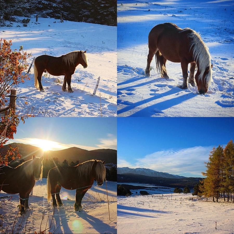 Gite Ranch Le Serpolet Les Angles  Dış mekan fotoğraf