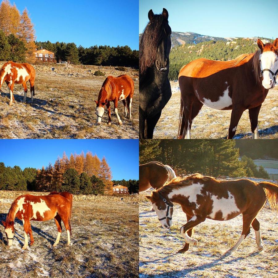 Gite Ranch Le Serpolet Les Angles  Dış mekan fotoğraf