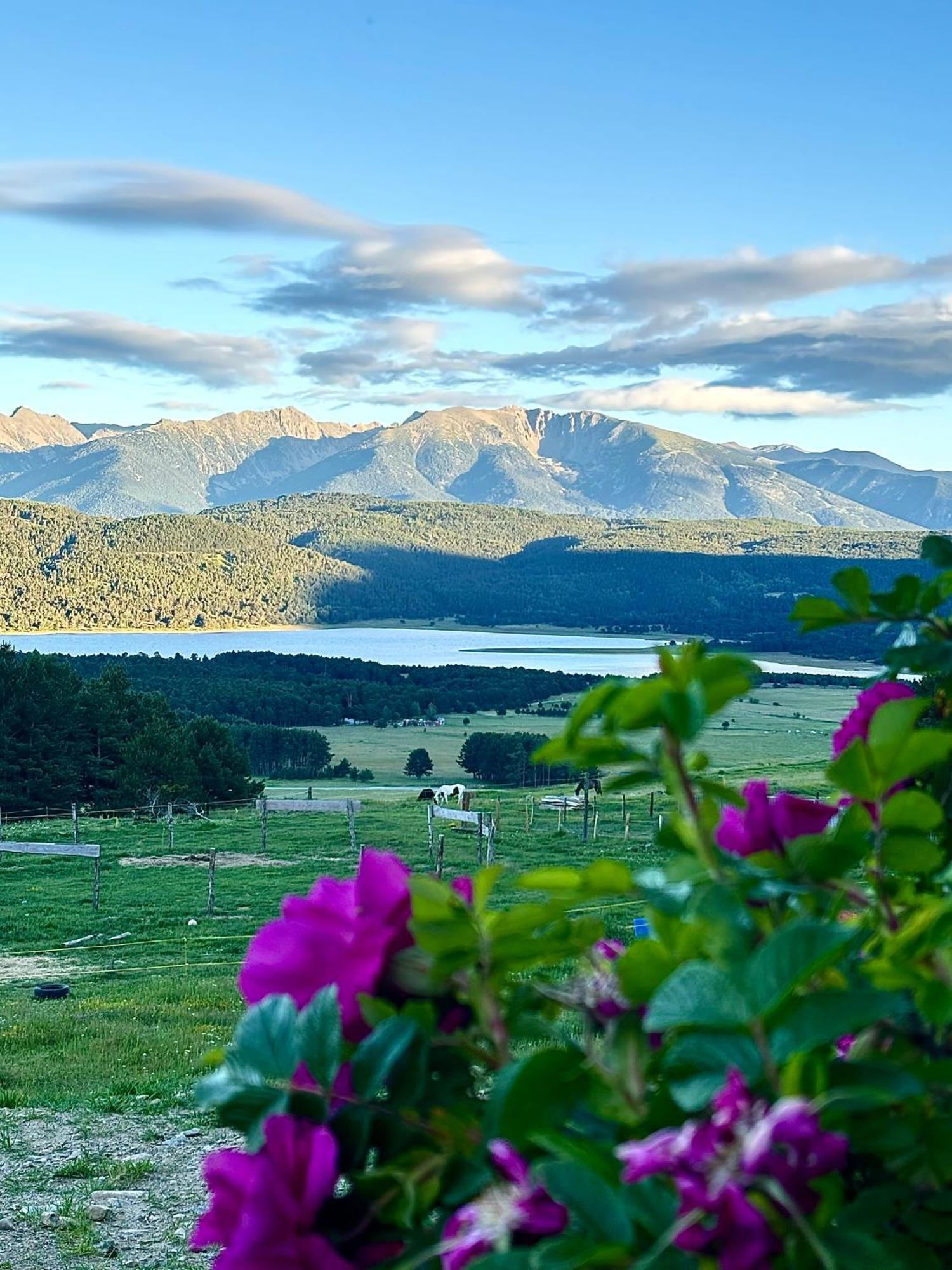 Gite Ranch Le Serpolet Les Angles  Dış mekan fotoğraf
