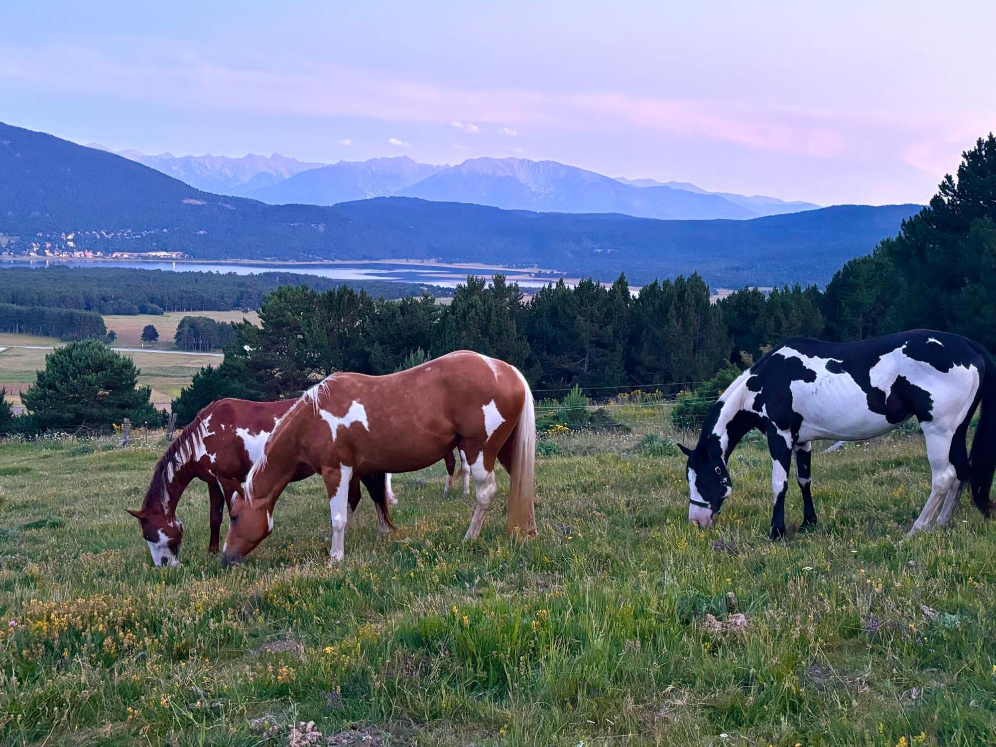 Gite Ranch Le Serpolet Les Angles  Dış mekan fotoğraf